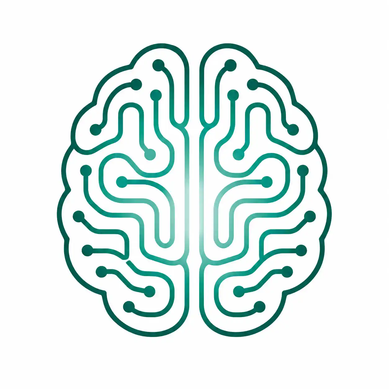 Illustration of the brain and nervous system